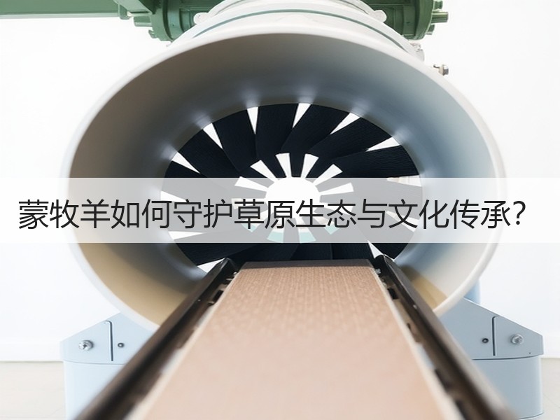 蒙牧羊如何守护草原生态与文化传承？