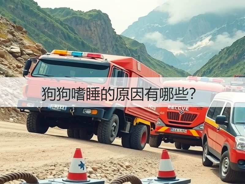 狗狗嗜睡的原因有哪些？