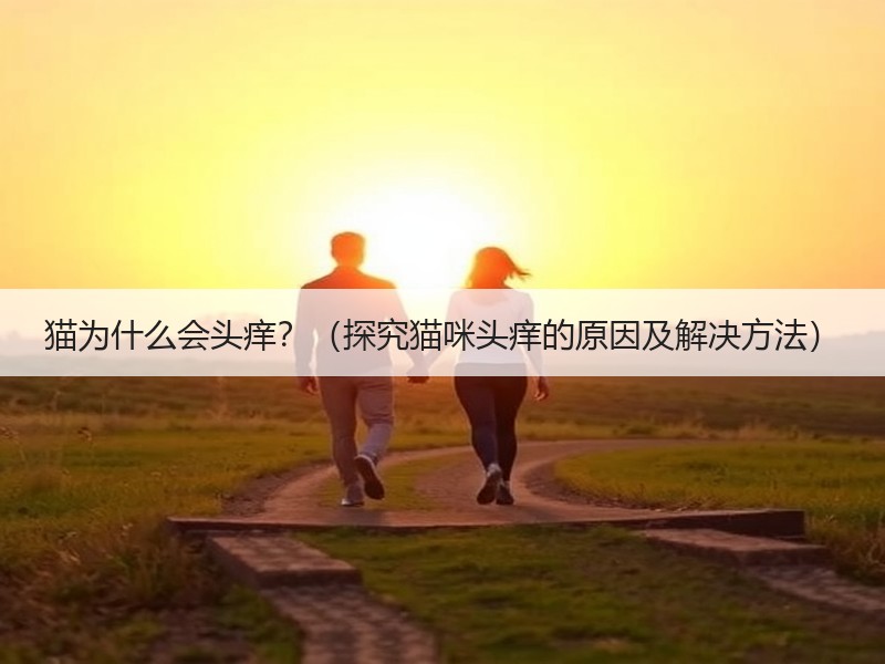 猫为什么会头痒？（探究猫咪头痒的原因及解决方法）