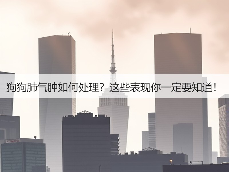 狗狗肺气肿如何处理？这些表现你一定要知道！