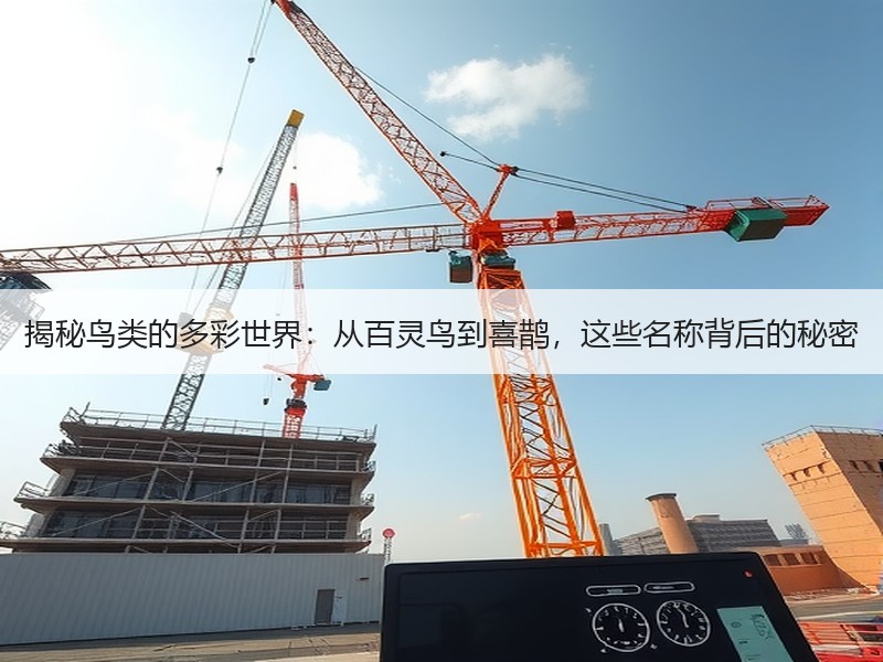 揭秘鸟类的多彩世界：从百灵鸟到喜鹊，这些名称背后的秘密