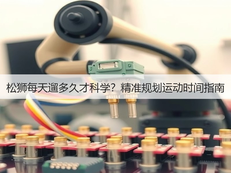 松狮每天遛多久才科学？精准规划运动时间指南
