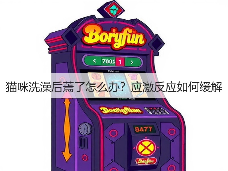 猫咪洗澡后蔫了怎么办？应激反应如何缓解