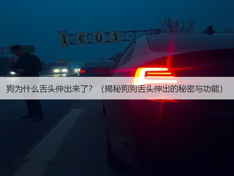 狗为什么舌头伸出来了？（揭秘狗狗舌头伸出的秘密与功能）