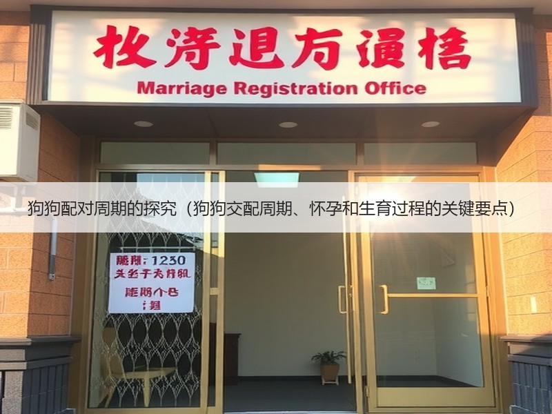 狗狗配对周期的探究（狗狗交配周期、怀孕和生育过程的关键要点）