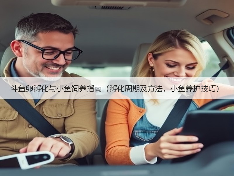 斗鱼卵孵化与小鱼饲养指南（孵化周期及方法，小鱼养护技巧）