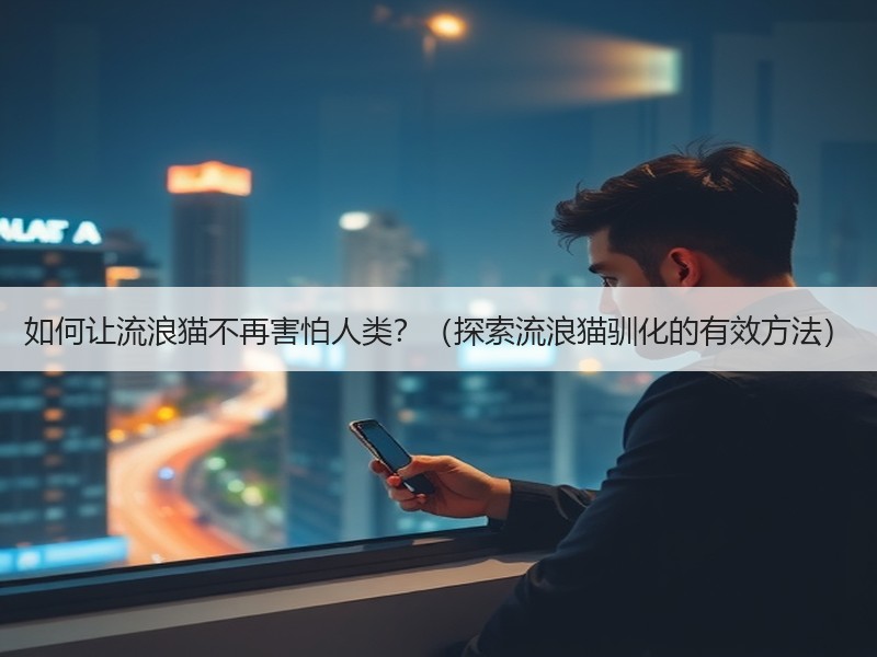 如何让流浪猫不再害怕人类？（探索流浪猫驯化的有效方法）