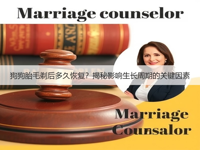 狗狗胎毛剃后多久恢复？揭秘影响生长周期的关键因素