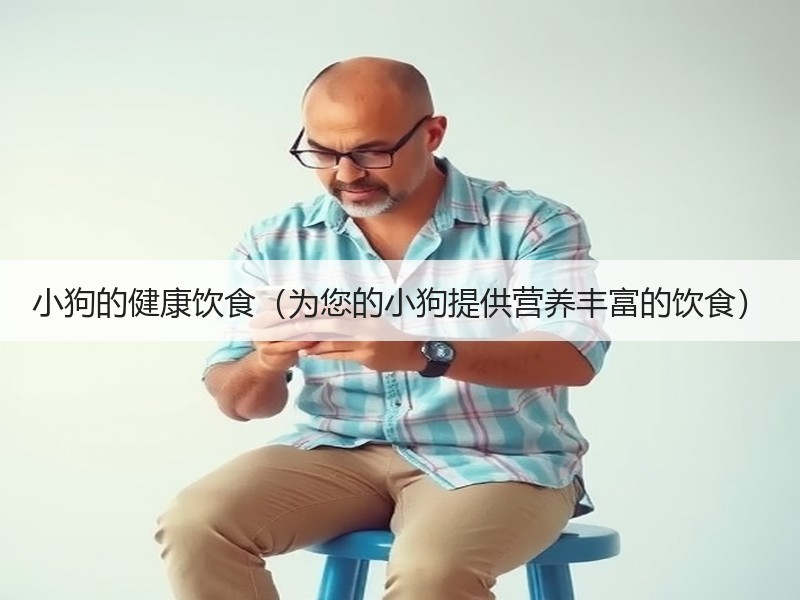 小狗的健康饮食（为您的小狗提供营养丰富的饮食）