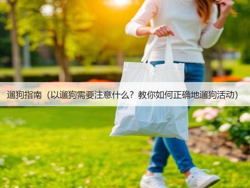 遛狗指南（以遛狗需要注意什么？教你如何正确地遛狗活动）