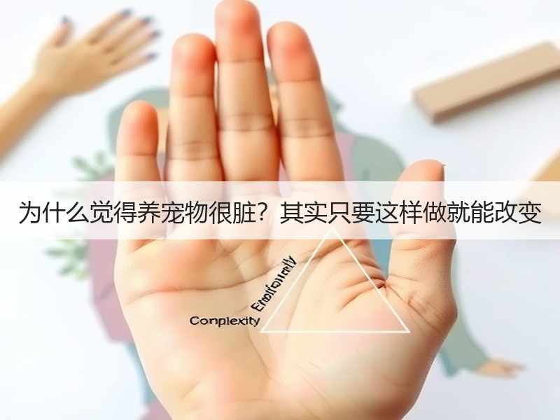 为什么觉得养宠物很脏？其实只要这样做就能改变