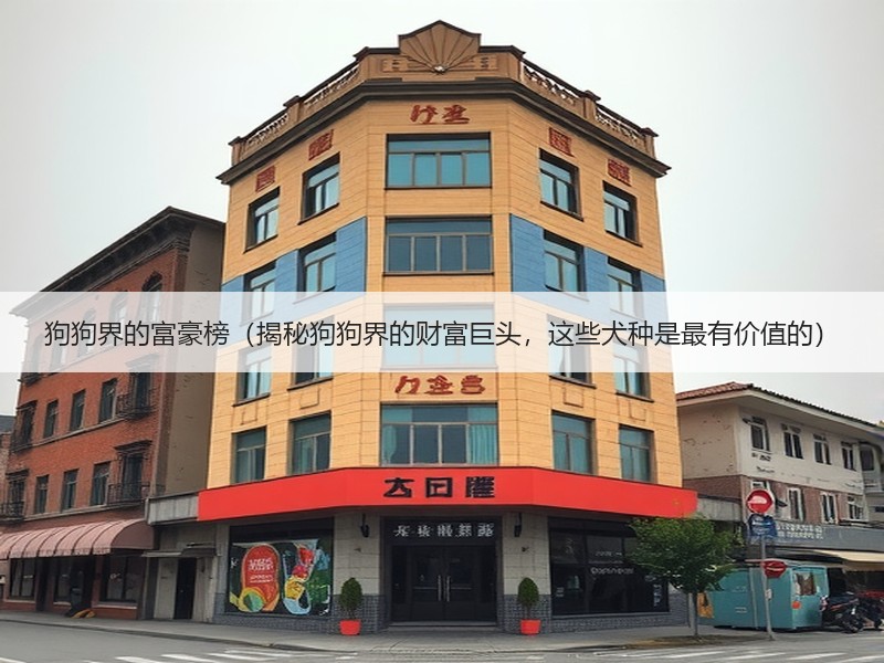 狗狗界的富豪榜（揭秘狗狗界的财富巨头，这些犬种是最有价值的）