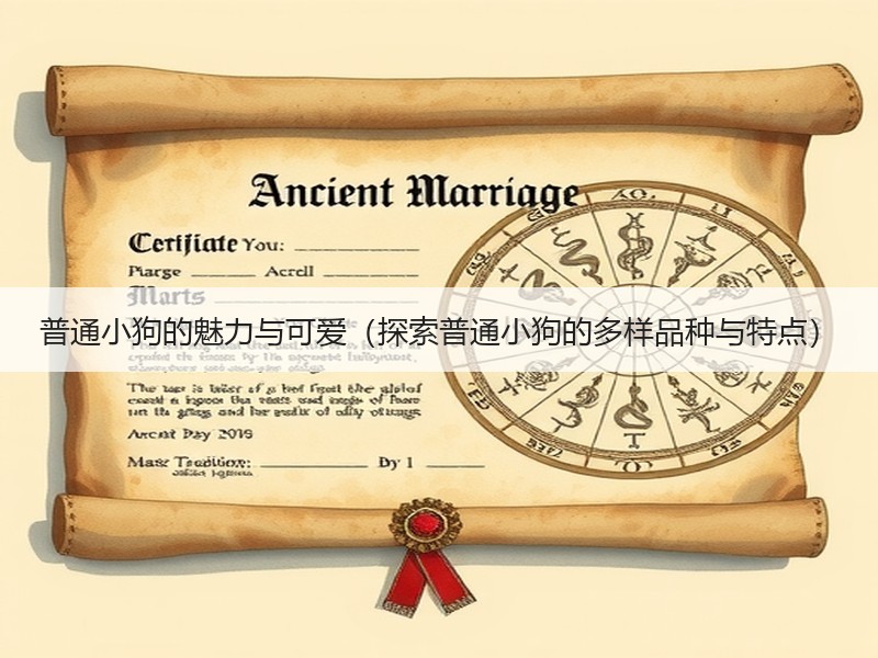 普通小狗的魅力与可爱（探索普通小狗的多样品种与特点）