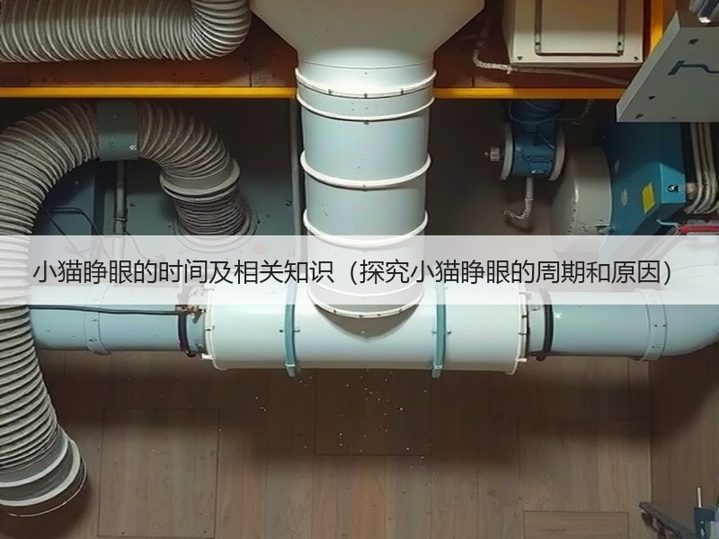 小猫睁眼的时间及相关知识（探究小猫睁眼的周期和原因）