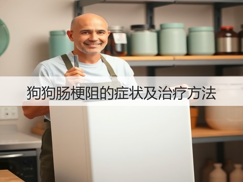 狗狗肠梗阻的症状及治疗方法