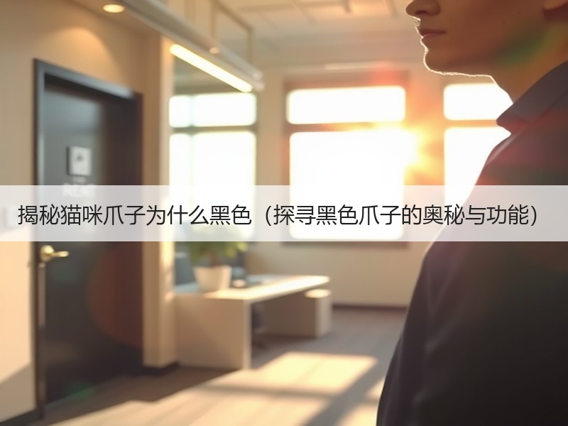 揭秘猫咪爪子为什么黑色（探寻黑色爪子的奥秘与功能）