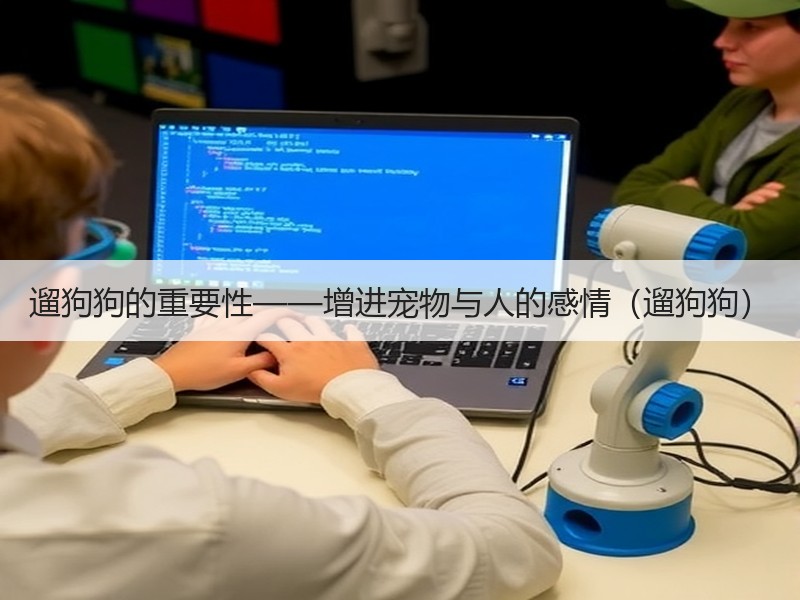 遛狗狗的重要性——增进宠物与人的感情（遛狗狗）