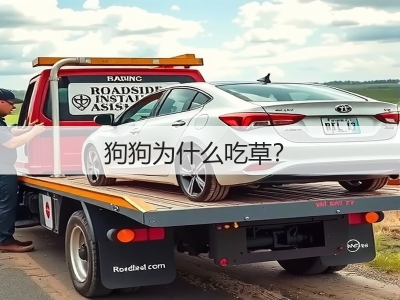 狗狗为什么吃草？