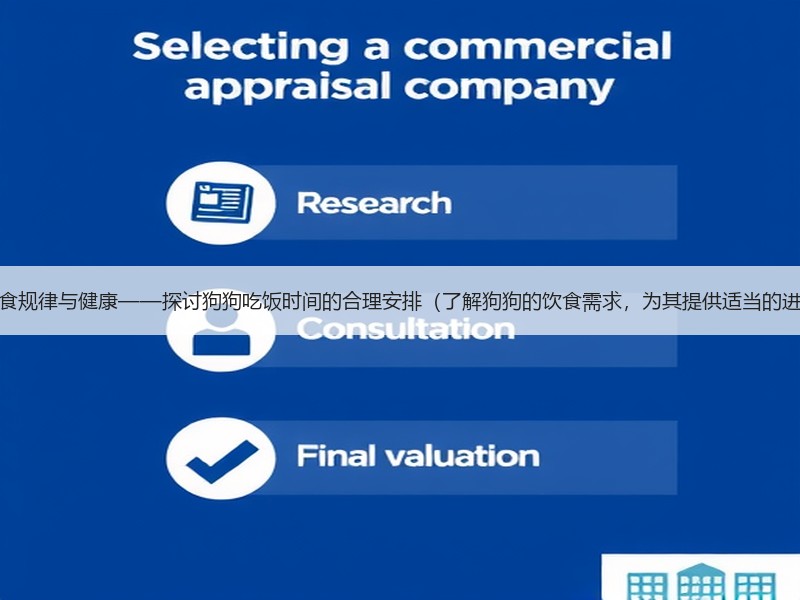 狗狗的饮食规律与健康——探讨狗狗吃饭时间的合理安排（了解狗狗的饮食需求，为其提供适当的进食时间）