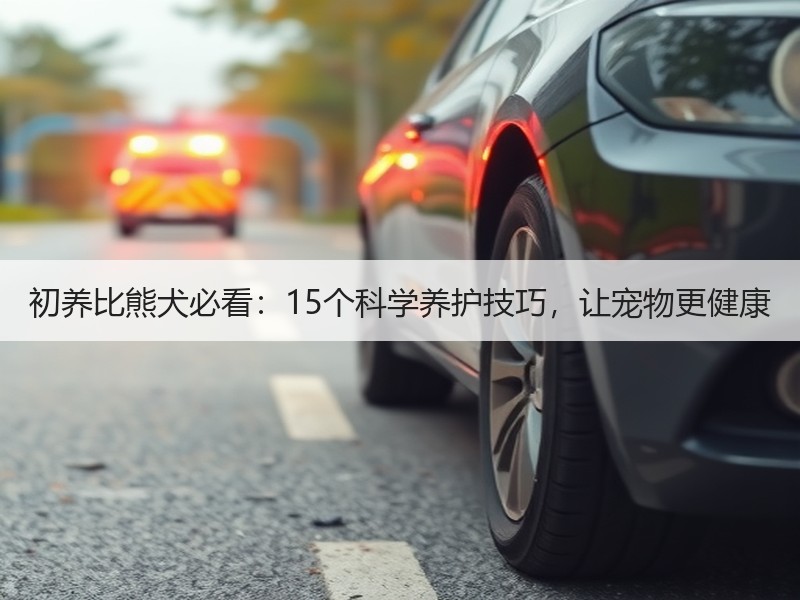 初养比熊犬必看：15个科学养护技巧，让宠物更健康