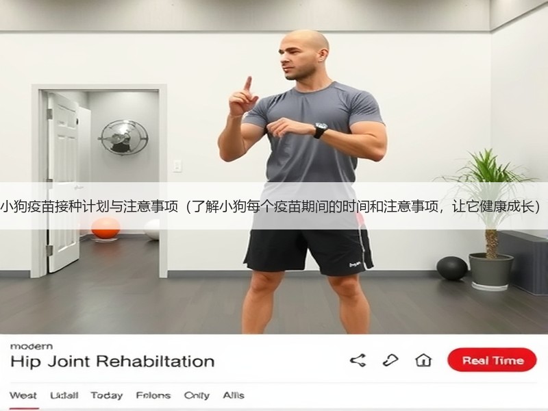 小狗疫苗接种计划与注意事项（了解小狗每个疫苗期间的时间和注意事项，让它健康成长）