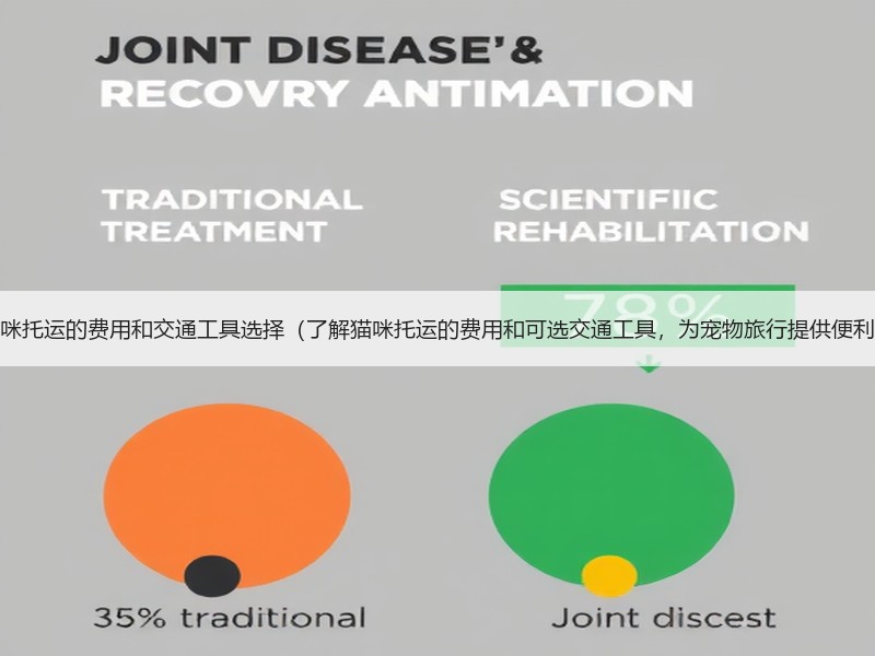 猫咪托运的费用和交通工具选择（了解猫咪托运的费用和可选交通工具，为宠物旅行提供便利）