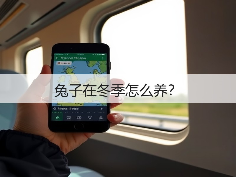 兔子在冬季怎么养？