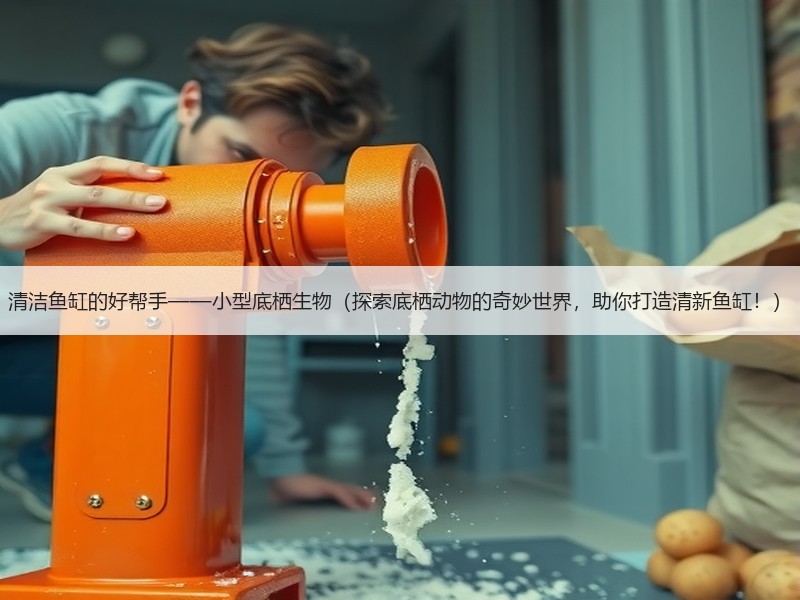 清洁鱼缸的好帮手——小型底栖生物（探索底栖动物的奇妙世界，助你打造清新鱼缸！）