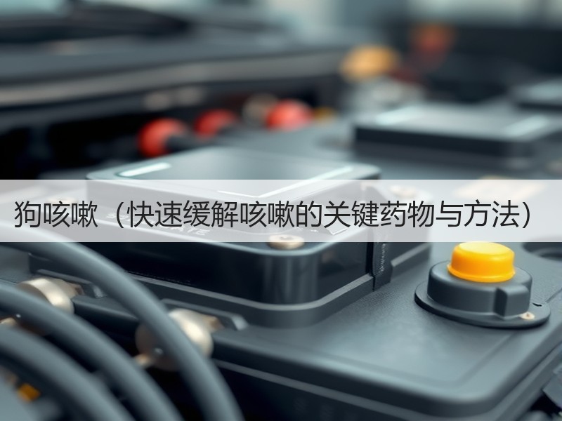 狗咳嗽（快速缓解咳嗽的关键药物与方法）