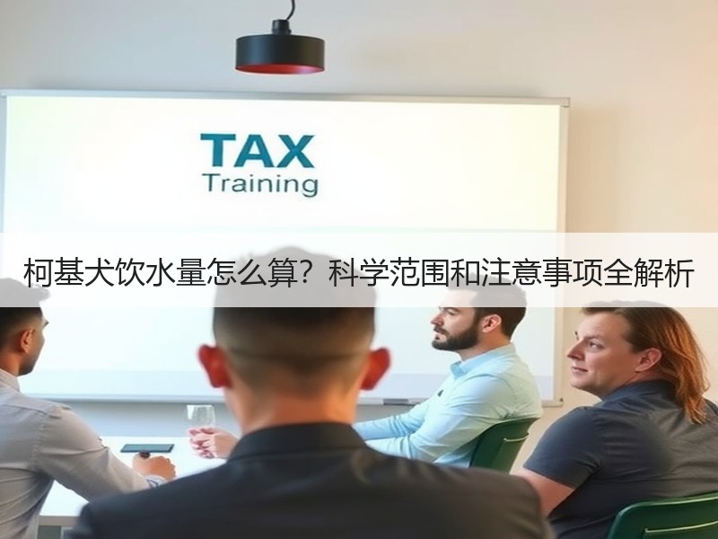 柯基犬饮水量怎么算？科学范围和注意事项全解析