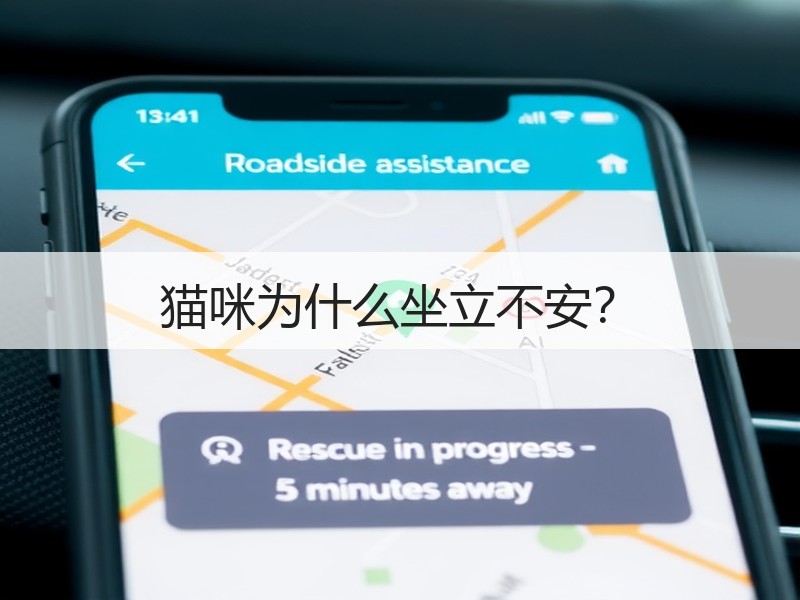 猫咪为什么坐立不安？