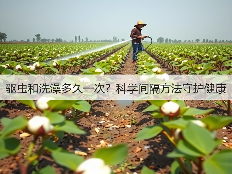 驱虫和洗澡多久一次？科学间隔方法守护健康