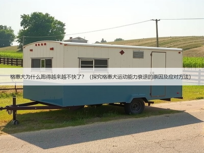 格惠犬为什么跑得越来越不快了？（探究格惠犬运动能力衰退的原因及应对方法）