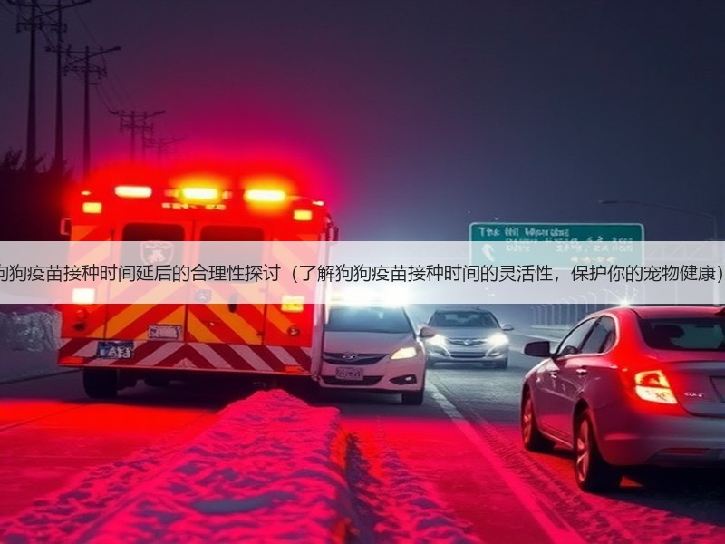 狗狗疫苗接种时间延后的合理性探讨（了解狗狗疫苗接种时间的灵活性，保护你的宠物健康）