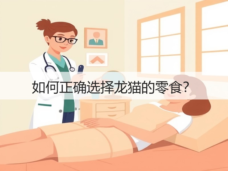 如何正确选择龙猫的零食？