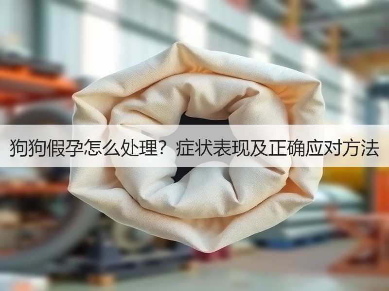 狗狗假孕怎么处理？症状表现及正确应对方法