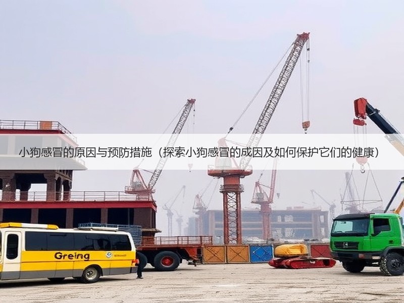 小狗感冒的原因与预防措施（探索小狗感冒的成因及如何保护它们的健康）