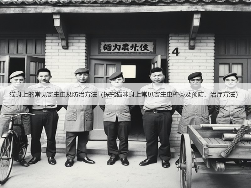 猫身上的常见寄生虫及防治方法（探究猫咪身上常见寄生虫种类及预防、治疗方法）