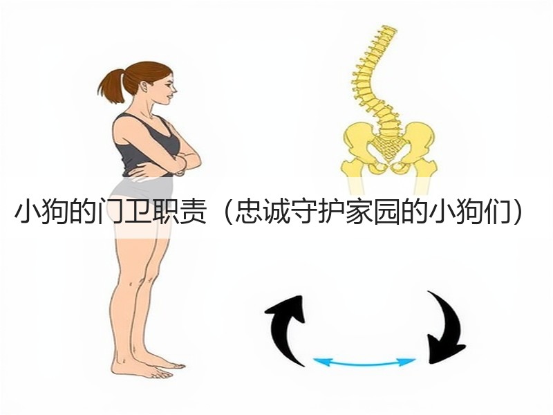 小狗的门卫职责（忠诚守护家园的小狗们）