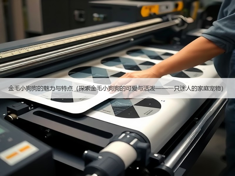 金毛小狗狗的魅力与特点（探索金毛小狗狗的可爱与活泼——一只迷人的家庭宠物）