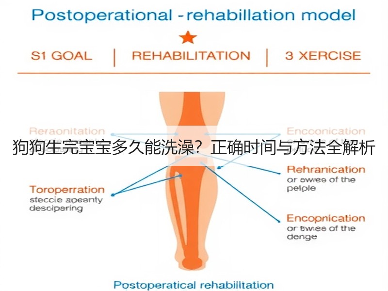 狗狗生完宝宝多久能洗澡？正确时间与方法全解析