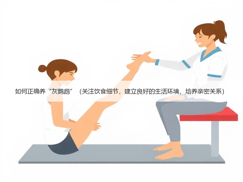 如何正确养“灰鹦鹉”（关注饮食细节，建立良好的生活环境，培养亲密关系）