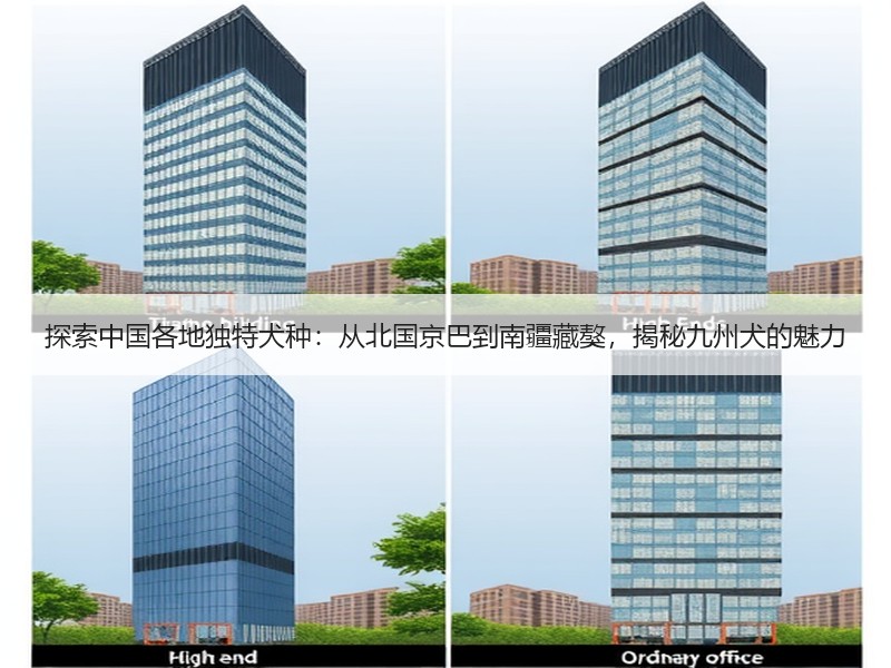 探索中国各地独特犬种：从北国京巴到南疆藏獒，揭秘九州犬的魅力