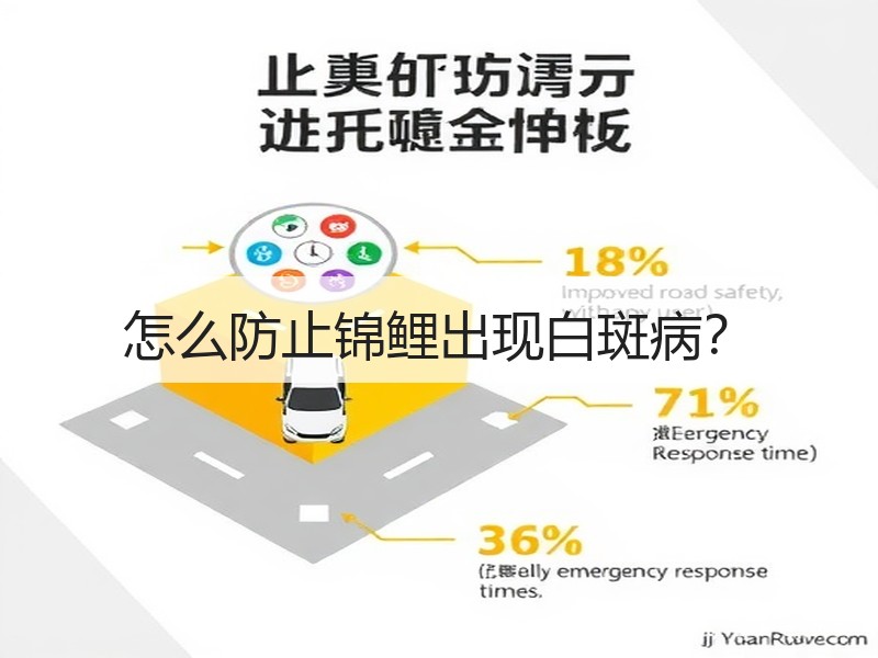 怎么防止锦鲤出现白斑病？