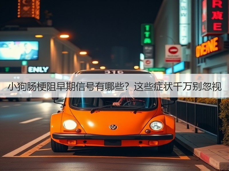 小狗肠梗阻早期信号有哪些？这些症状千万别忽视