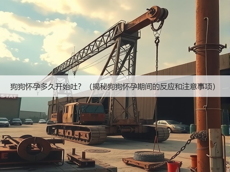 狗狗怀孕多久开始吐？（揭秘狗狗怀孕期间的反应和注意事项）