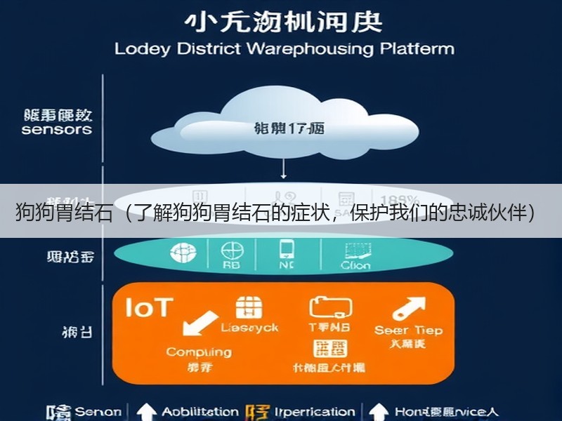 狗狗胃结石（了解狗狗胃结石的症状，保护我们的忠诚伙伴）