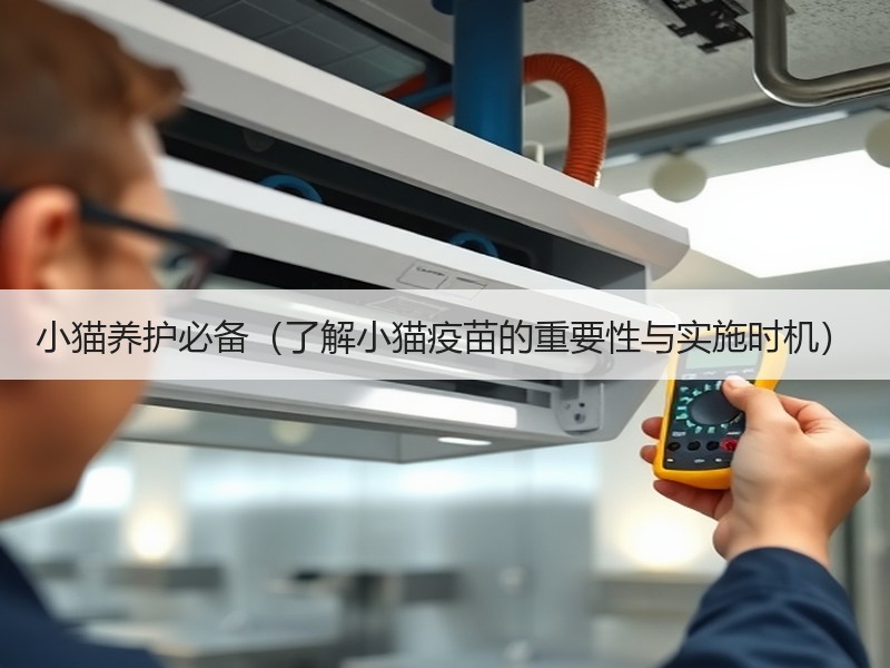 小猫养护必备（了解小猫疫苗的重要性与实施时机）