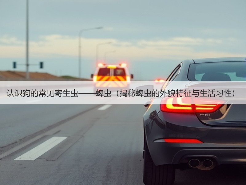 认识狗的常见寄生虫——蜱虫（揭秘蜱虫的外貌特征与生活习性）