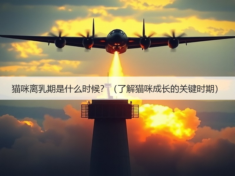 猫咪离乳期是什么时候？（了解猫咪成长的关键时期）